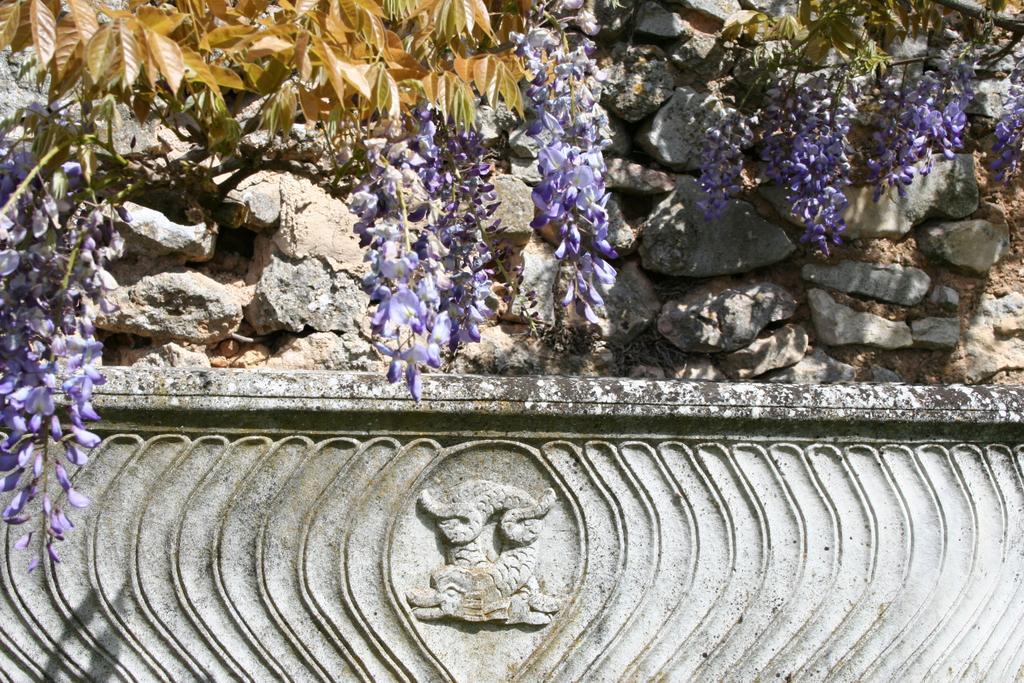 Domaine De La Blaque - B&B Varages Bilik gambar
