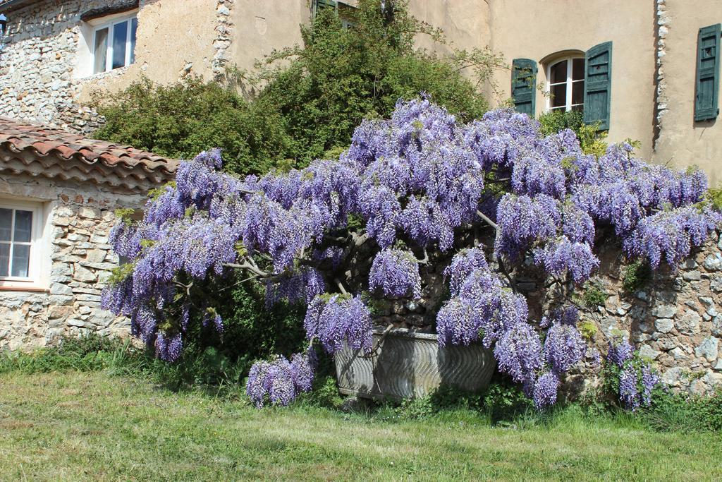 Domaine De La Blaque - B&B Varages Luaran gambar